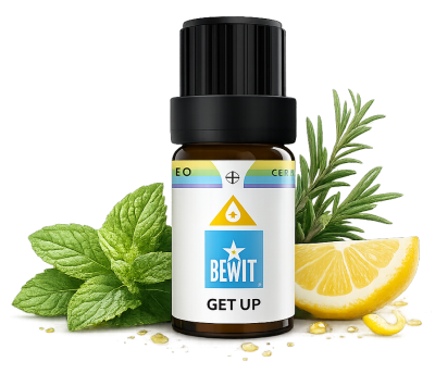 Get Up — BEWIT